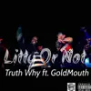 Truth Why - Litty or Not (feat. Goldmouth) - Single